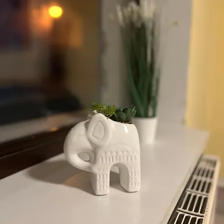 Yellow Appartement Lychen